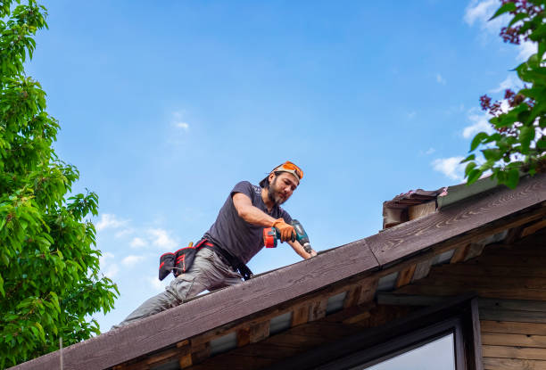 Best Roof Maintenance and Cleaning  in Alva, FL